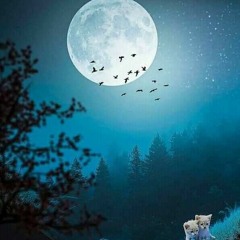 Plotting On The Moon - Cvocals & A.R