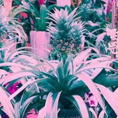 Present (prod. Still In That Red Corner)