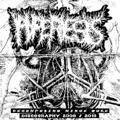 HYPERESIS - Decomposing Mince Gore Discography 2009 / 2018