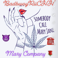 Mary Company