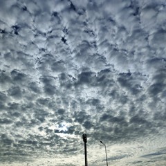 Mihai Falca-vreau sa mor de batranețe