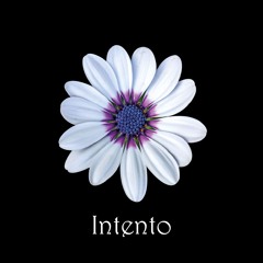 INTENTO.demo