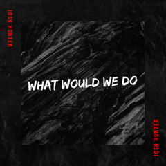 Josh Hunter - What Would We Do (Extended Mix)