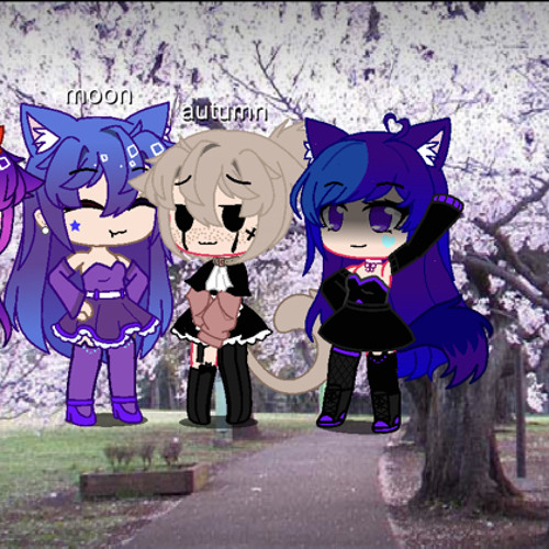 siblings meme