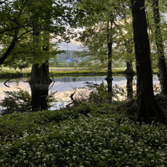 home is where the heart is - voice memo