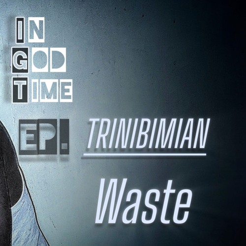 Trinibimian - Waste FT. Robby Finesse (Official Audio).wav