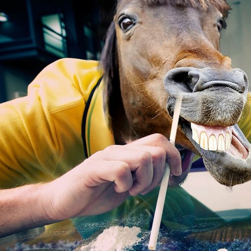 Ketamine Horse