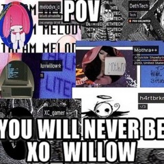 h4rtbrkr - u will never be xo_willow