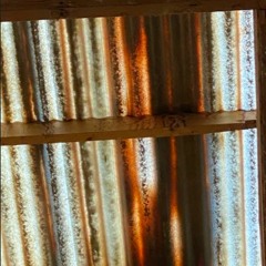 GREENHAUS w/JENNGREEN - 12/19/21 VPN