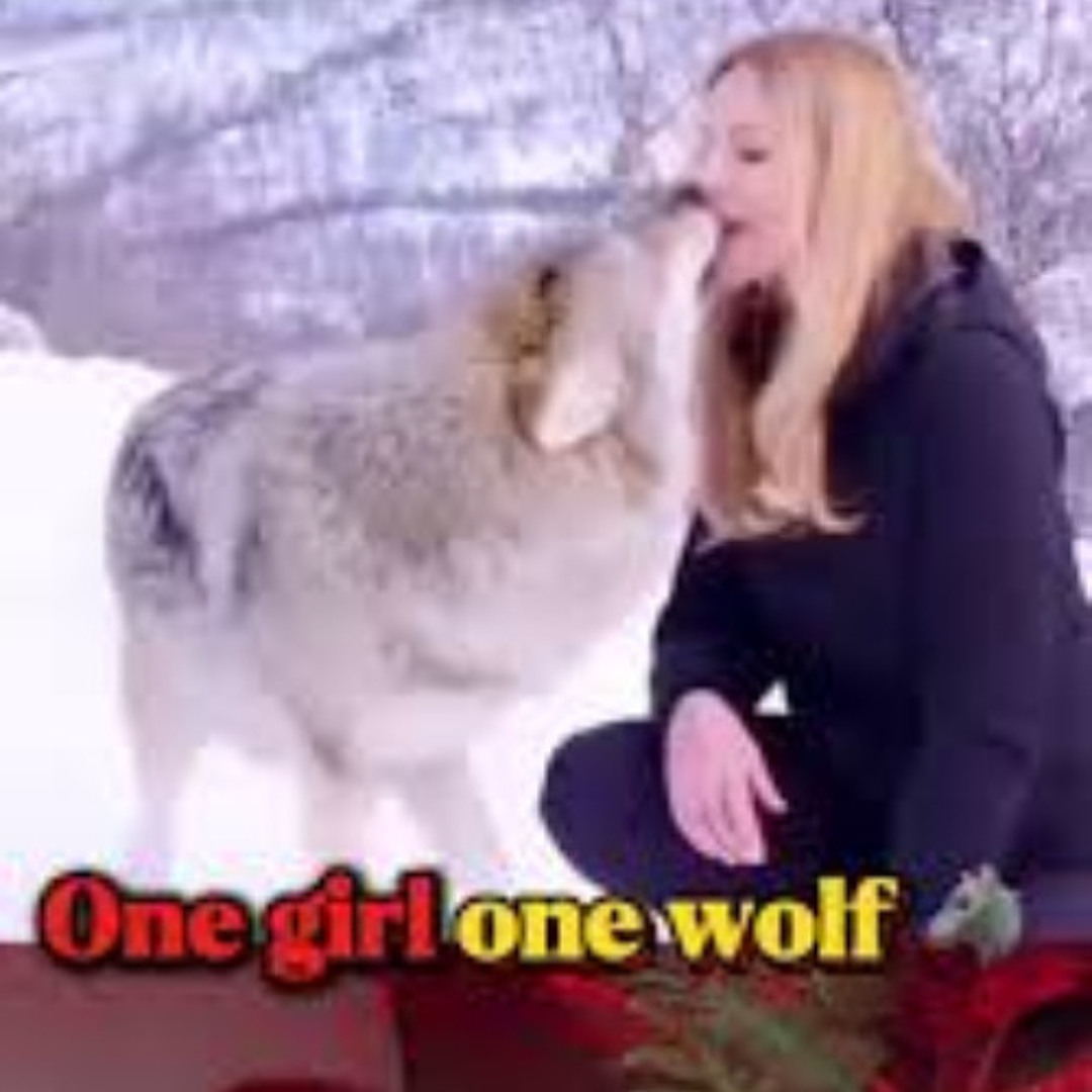 Stream ~![Viral(SEX🌶️ Porn)!] one girl one wolf viral video original xxx  video by Viral Video | Listen online for free on SoundCloud