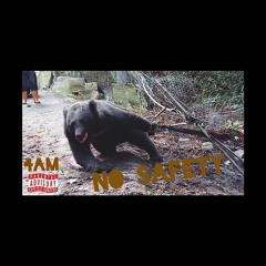 4AM-NO SAFETY