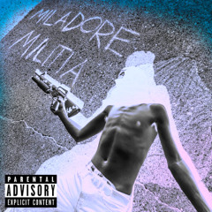 FAT STEWIE FREESTYLE DEMO