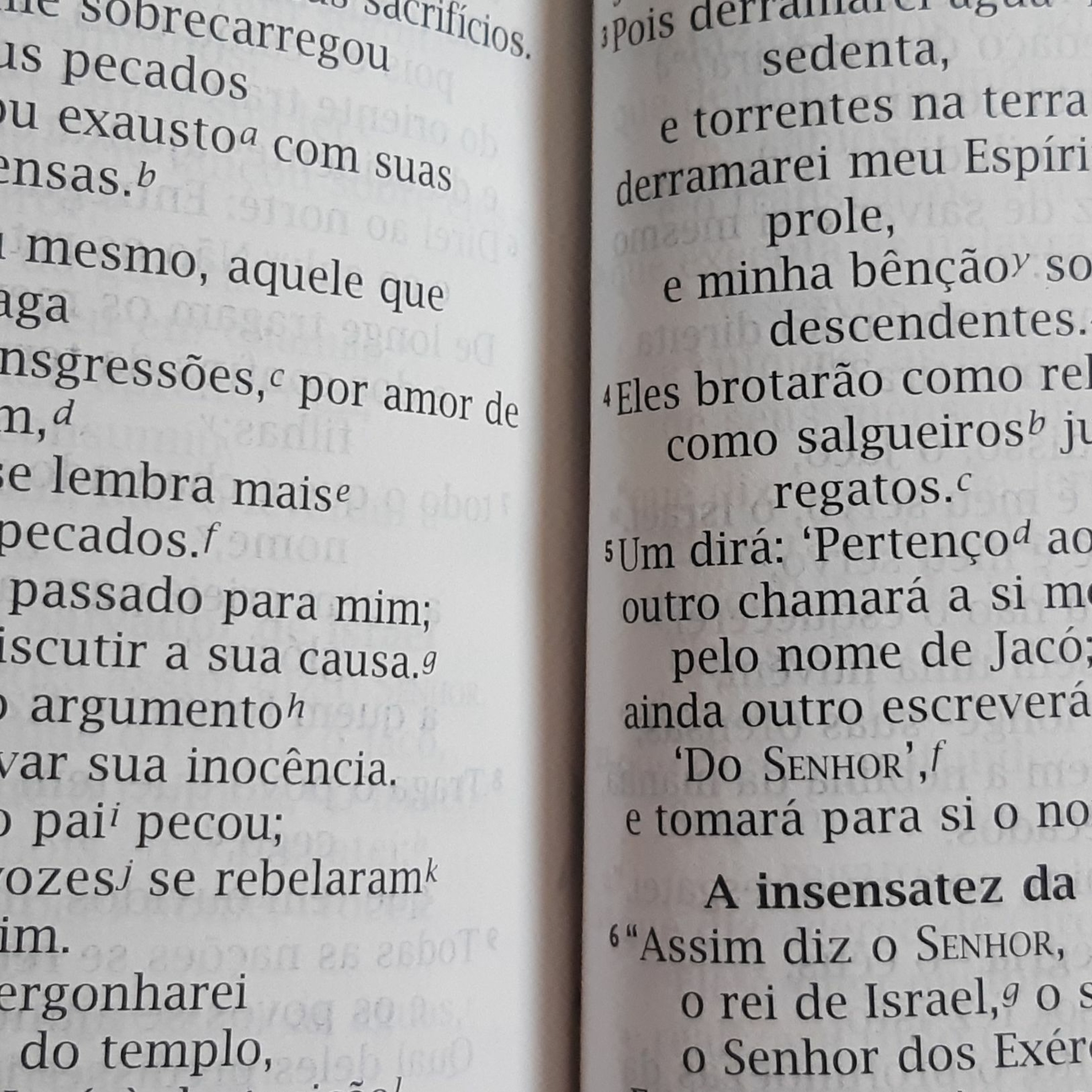 Espada de dois gumes