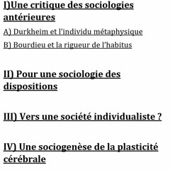 SocioSynthèse - Dans Les Plis Singulier Du Social, B. Lahire