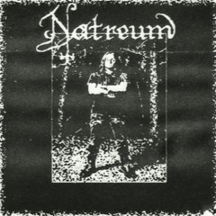 Natreum - Fallen into Eternal Darkness & Chaos