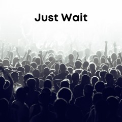 Just Wait (Radio Edit )