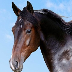 Anger & resentment but at the same time a soothing experience for your soul