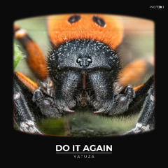Yatuza - Do It Again (INSECTS003)