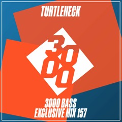 Turtleneck - 3000 Bass Exclusive Mix 157