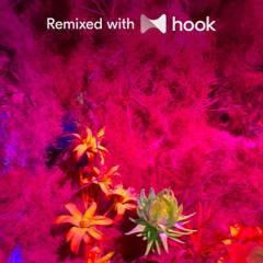 Lithe - Touch Tight (@will Hook Remix)