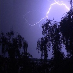 BAUM VOR MEINEM HAUS feat. illusion. (prod. by maze)