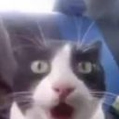 Playlist of Songs I Like