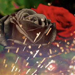 Dont Stop - Benzo (SBVD)