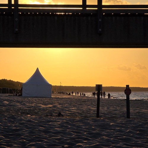 Bởi vì anh không muốn giải thích về mình-Xuan