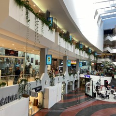 א.נשים ומקומות | מי הם ילדי הסנטר? | יונתן גפטר