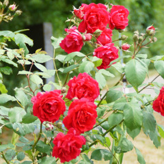 You were my girl, you were my boy