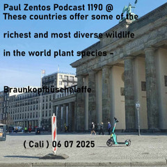 Paul Zentos Podcast 1190 @ These countries offer some of the richest and most diverse wildlife in the world plant species -  Braunkopfbüschelaffe ( Cali ) 06 07 2025