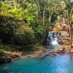 Review Special Price Blue Hole And Sightseeing Tour From Falmouth