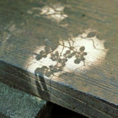 pill (taruu&samyauto)