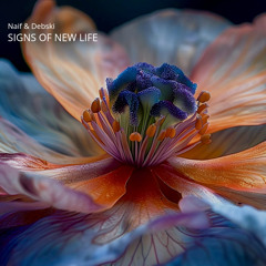 Naif & Debski - Signs Of New Life