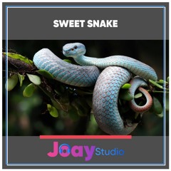 Sweet Snake By Joay Studio【Free Download】