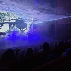 Im Kino