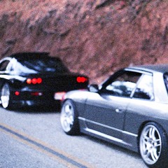 FLIPS