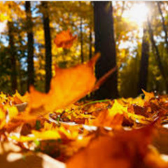 Autumn Leaves -Tenor Sax Solo - take 2