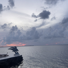 Dusk