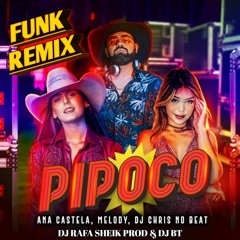 PIPOCO - MEU BEIJO VAI TE VICIAR ((REMIX)) By DJ RAFA SHEIK PROD & DJ BT OFICIAL