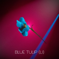 Blue Tulip (Li)