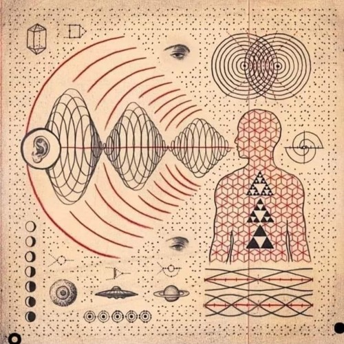 Hz-vitamin