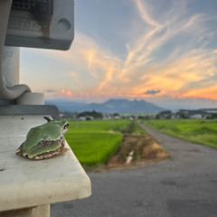 harvest moon - 8_2_25, 9.28 PM