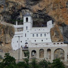 SAVIC - NE DAMO SVETINJE