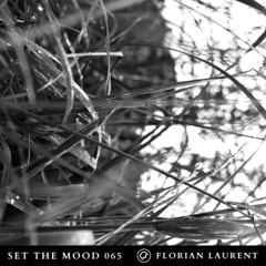 Florian Laurent - Set the Mood 065 (Oefenmeesters)