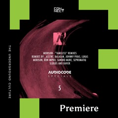 PREMIERE: Morison - Tameless (Sepromatiq Remix) [Audiocode Records]