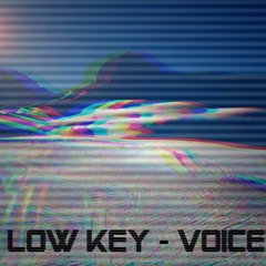 LOW KEY - VOICE