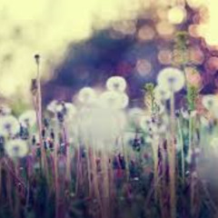 Chukhno — Chemical nights