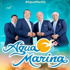 108 - Agua Marina ✘ Estoy Enamorado ✘ [ ! Dj Elvis ¡ ] E.Q. 2021