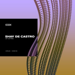 Shay De Castro - Flexion (Original Mix)